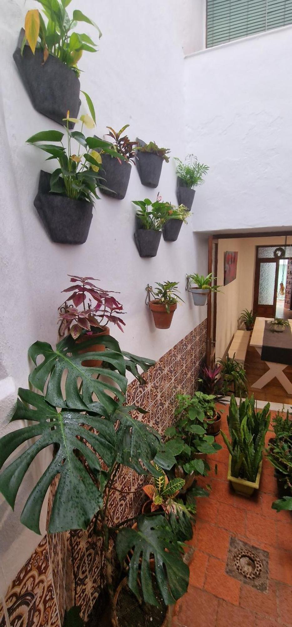 La Casa De Abuela Habitaciones Con Bano Compartido En El Casco Historico De Frigiliana "Solo Adultos" Eksteriør bilde